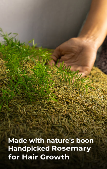 Amla Reetha Shikakai Shampoo, 11 Herbs Keshabooti Hair Growth Oil & Rosemary Rice Water Spray - Hair Growth combo (710 ml)