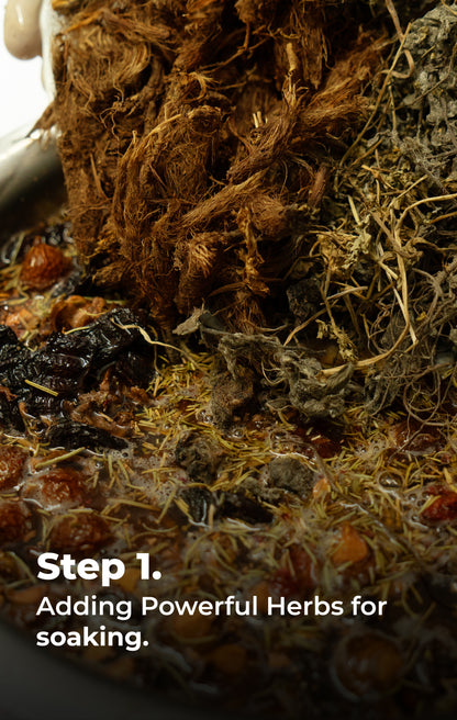 Pureus Herbals Shreekesha Anti Danruff Shampoo for Healthy Scalp (350 ml)